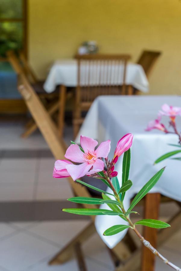 Regia Panzio Bed & Breakfast Halászi Exterior foto